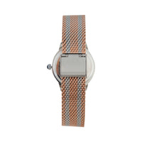 Mix Metal Mesh Watch - link has visual effect only