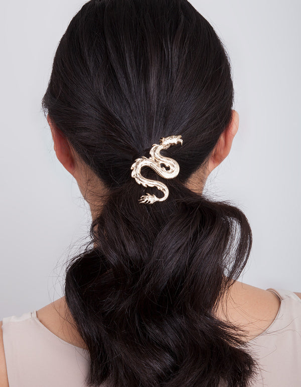 Dragon hair clip online