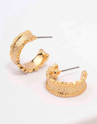 Gold Plated Cleo Organic Hoop Earrings - link has visual effect only