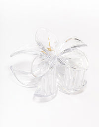 Clear Transparent Tropical Hair Claw Clip - link has visual effect only