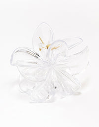 Clear Transparent Tropical Hair Claw Clip - link has visual effect only