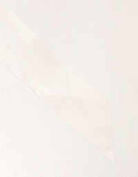 Large White Organza Fabric Bows 2-Pack - link has visual effect only