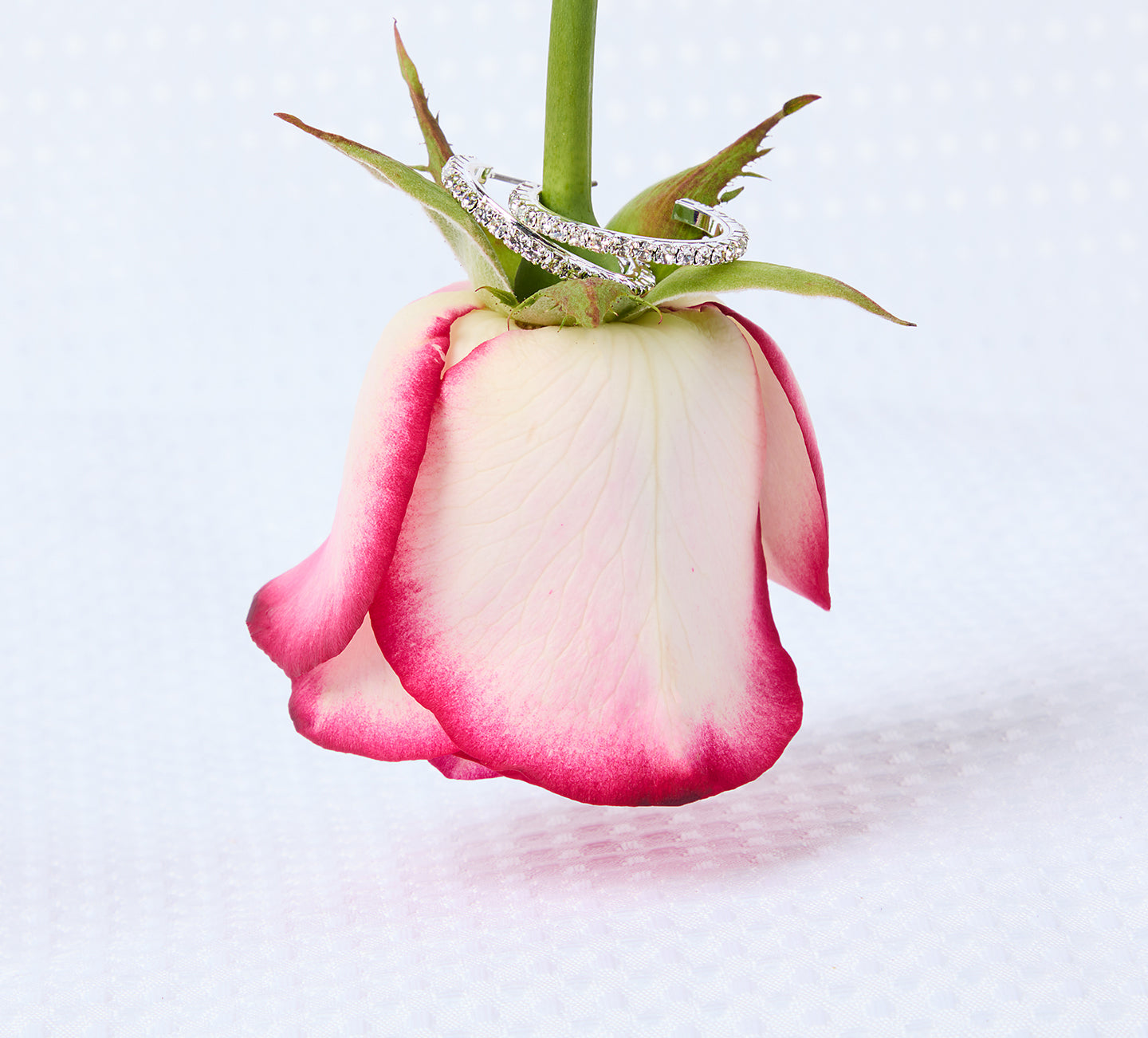 Decorative Homepage Banner